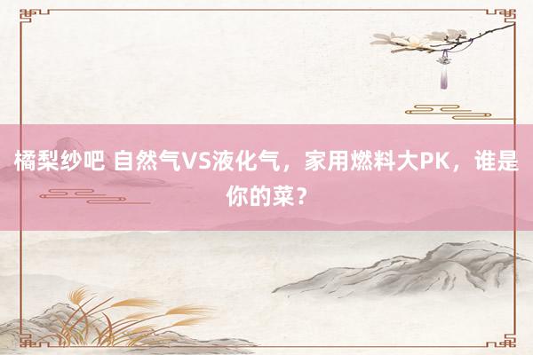 橘梨纱吧 自然气VS液化气,家用燃料大PK,谁是你的菜?
