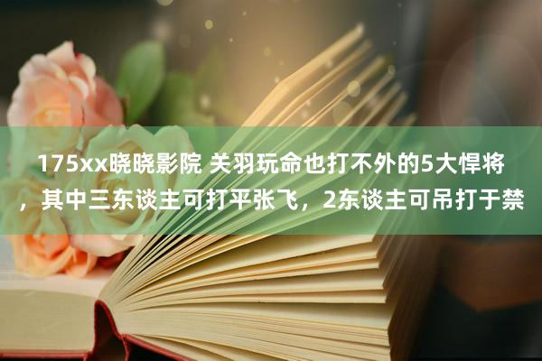 175xx晓晓影院 关羽玩命也打不外的5大悍将,其中三东谈主可打平张飞,2东谈主可吊打于禁