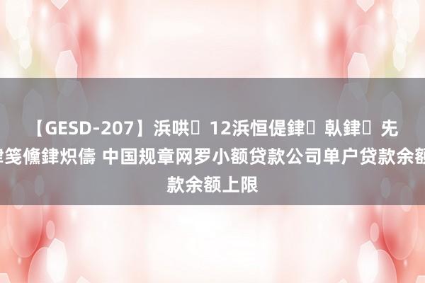 【GESD-207】浜哄12浜恒偍銉倝銉兂銉€銉笺儵銉炽儔 中国规章网罗小额贷款公司单户贷款余额上限