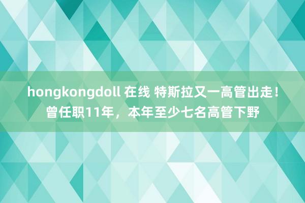 hongkongdoll 在线 特斯拉又一高管出走!曾任职11年,本年至少七名高管下野
