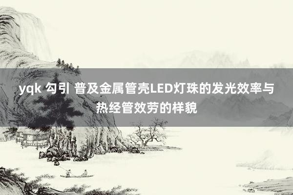 yqk 勾引 普及金属管壳LED灯珠的发光效率与热经管效劳的样貌