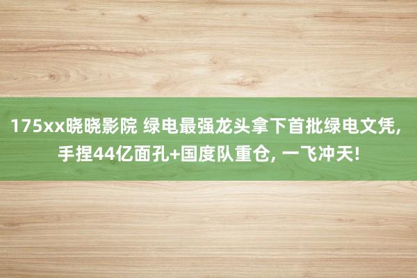 175xx晓晓影院 绿电最强龙头拿下首批绿电文凭, 手捏44亿面孔+国度队重仓, 一飞冲天!